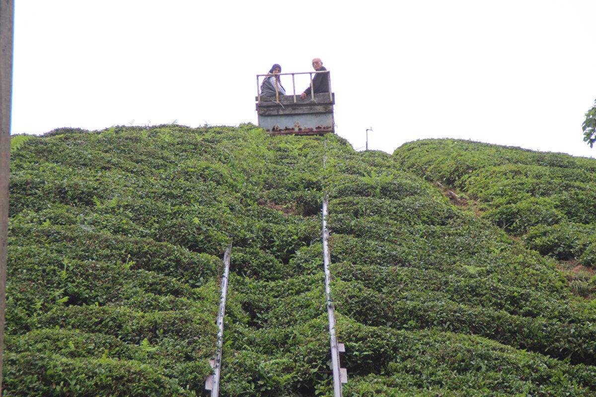 Uzun yıllar Ankara’da yaşadığını belirten Ali Rıza Yıldız “Tepeye ev yapmak istedim. 25 yıl önce yol yoktu. Bende Ankara’da yaşadım uzun yıllar. Orada raylı sistemlerle yolculuğum aklıma geldi. Bu sistemi 2 ayda kurdum. Önce eve malzeme taşıdık şimdi ulaşım içinde güvenle kullanıyoruz. Araç yolumuz var ama biz yine de bu sistemi kullanıyoruz” diye konuştu.

