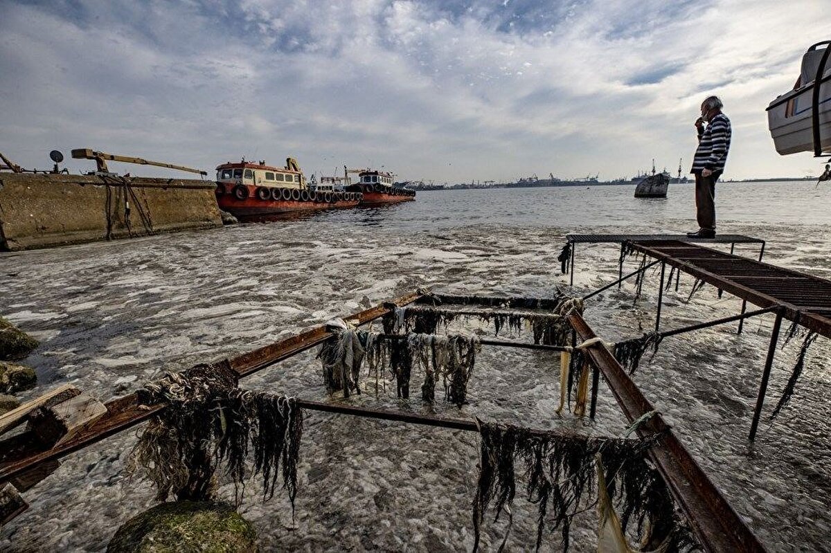 Biyolojik arıtma sisteminin bugün geliştirilmiş olan sistemleri ise Membran Biyoreaktör Sistemi (MBR). Bu, farklı boyut ve özellikteki moleküllerin, deniz içinde müsilajlaşmaya neden olan atıklarla diğerlerinin ayrıştırılması. Ondan sonra azot ve fosfat gidericileri var. Zaten sebep, Marmara Denizi'nin çok fazla miktarda azot ve fosfatla yüklenmesiydi. Biz bu azot ve fosfat yüklenmesini modern arıtma sistemleriyle giderebiliriz
