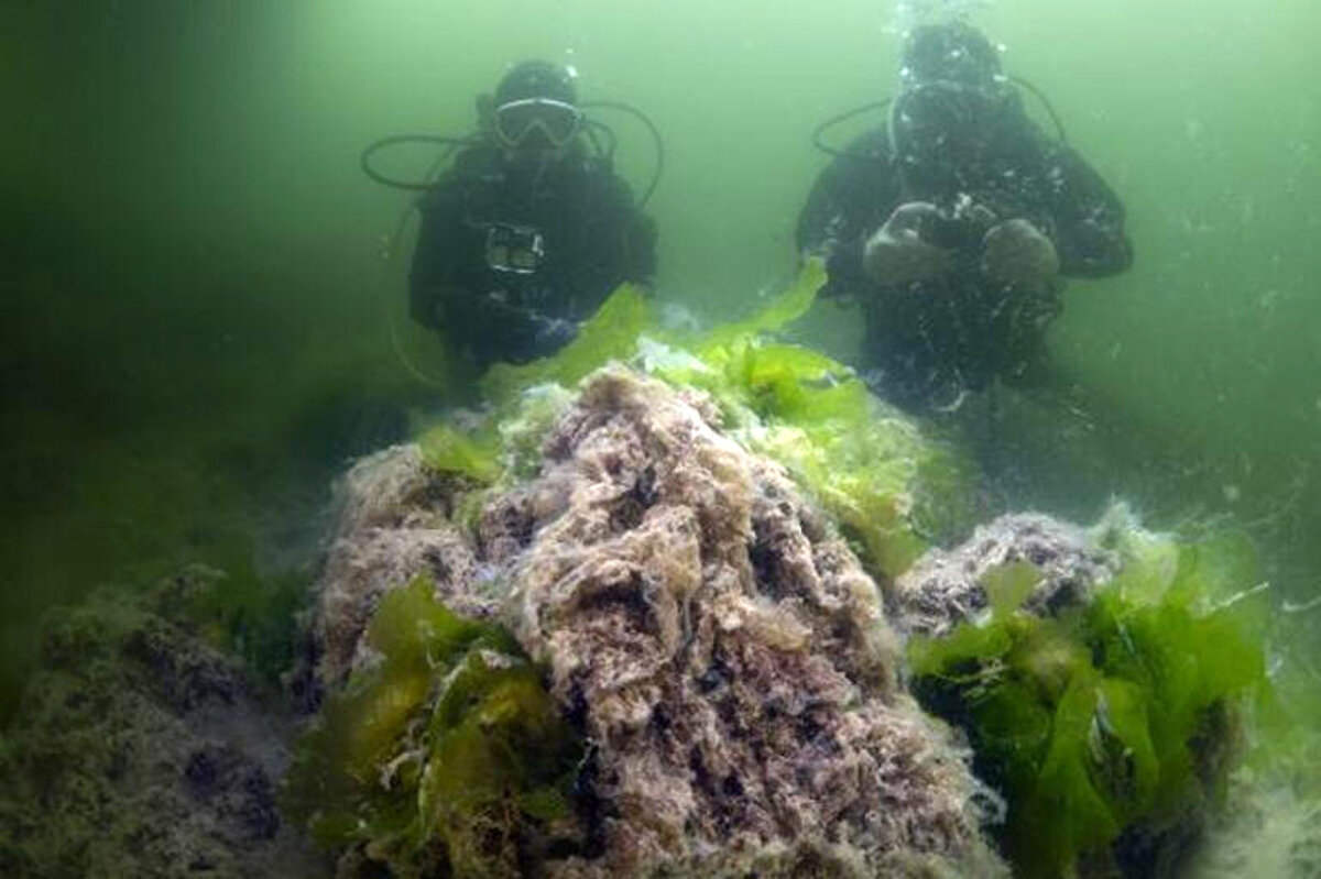 Yer altı su kaynaklarına bile yayılıyor. Ayrıca tabakalaşma nedeniyle bazı noktalarda görüş sıfır noktasına düştü. Kesinlikle iklimsel değişime bağlanmamalıdır. Elbette tkisi var ama direkt olarak etkili değildir diye konuştu.