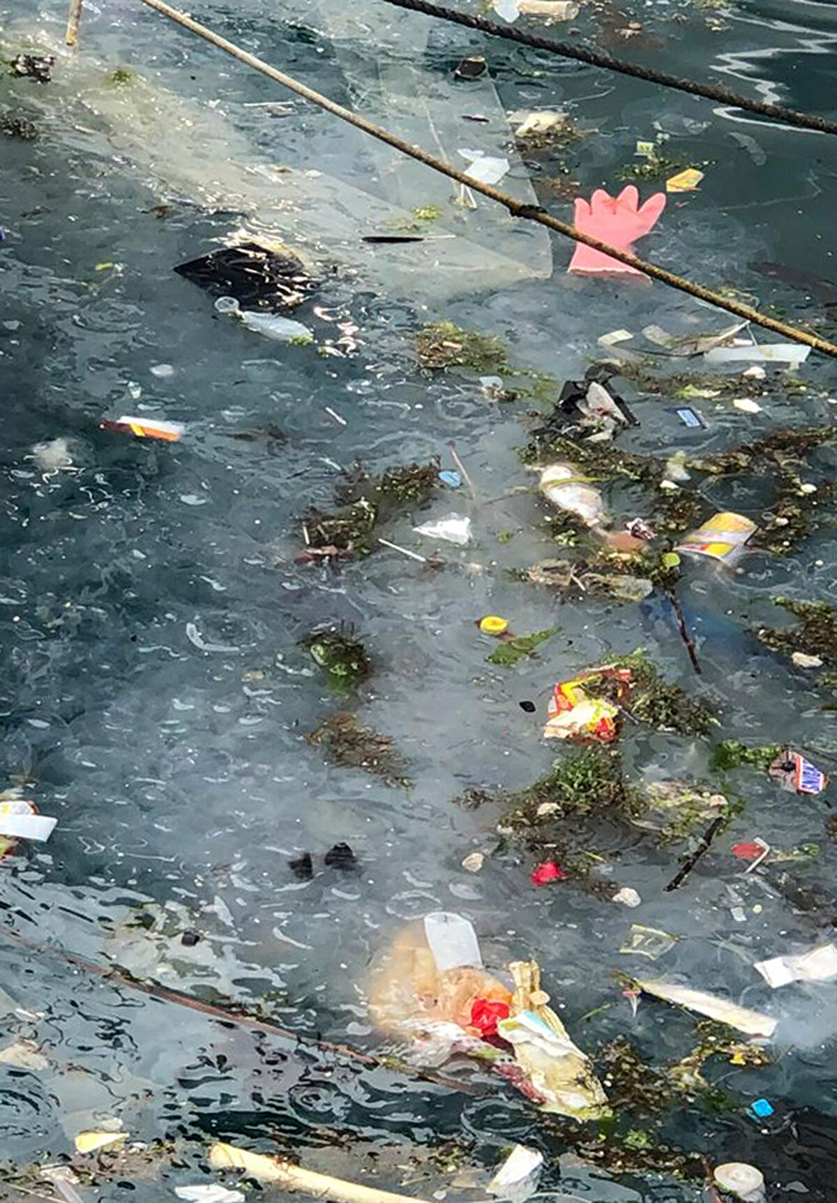 Marmara Denizi'nin bir nevi patladığını kaydeden Dr. Kesici, “Marmara Denizi önce öldü sonra patladı. Canlılık, yaşamsal faaliyetlerini kaybetti ve sonra da salyaların dışarı çıkması patlamasıdır. Bu Covid gibi bulaşıcıdır ve alg patlaması aynı pandemi gibi her tarafa yayılıyor