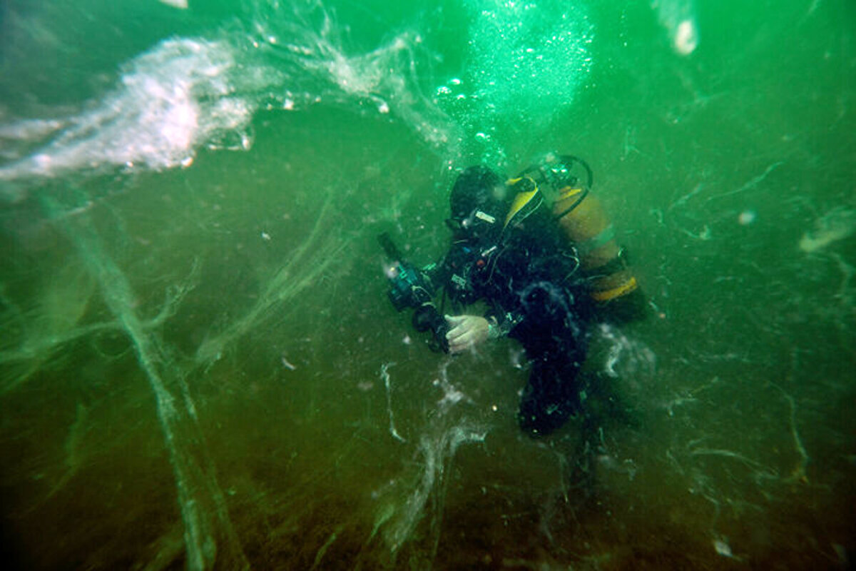 Kirliliği temizlemenin mümkün olduğunu belirten Dr. Kesici, öncelikle tedavi için teşhisin doğru koyulması gerektiğini vurguladı. Bu teşhisin ise kirlilik olduğunu açıklayan Kesici, “Patlamanın temel nedeni yüzde 99 kirlilik ve tür azalışı. Doğada hayvanlarla bitkiler arasında bir denge vardır. Planktonları tüketen balık ve deniz canlıları, kirlilik ve yoğun avcılık nedeniyle ciddi düzeyde azaldı dedi.