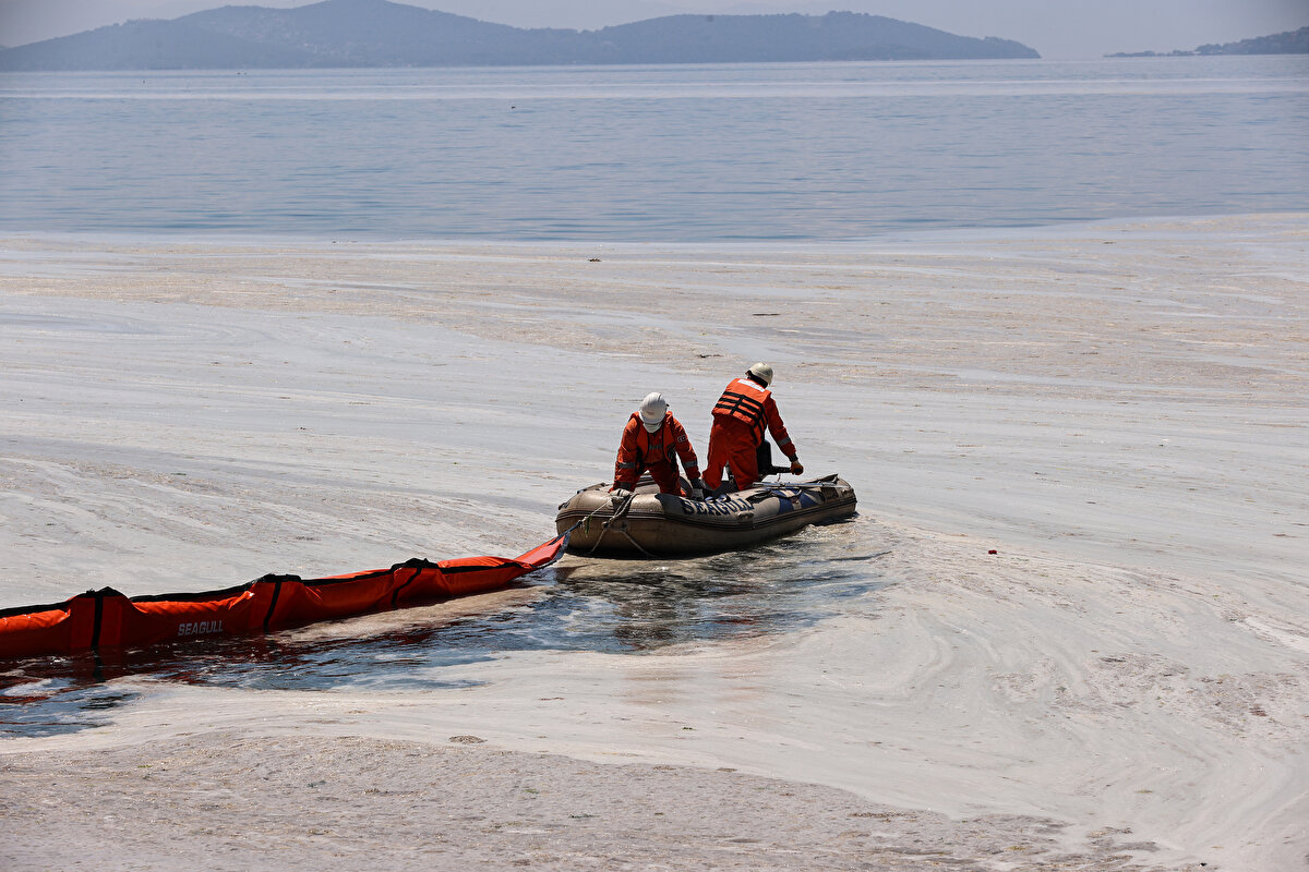 Çevre ve Şehircilik Bakanı Murat Kurum'un Kocaeli'de ODTÜ araştırma gemisi Bilim-2'deki deniz salyasıyla mücadele çalışmalarını incelediği sırada birçok noktada da çalışmalar başlatıldı.