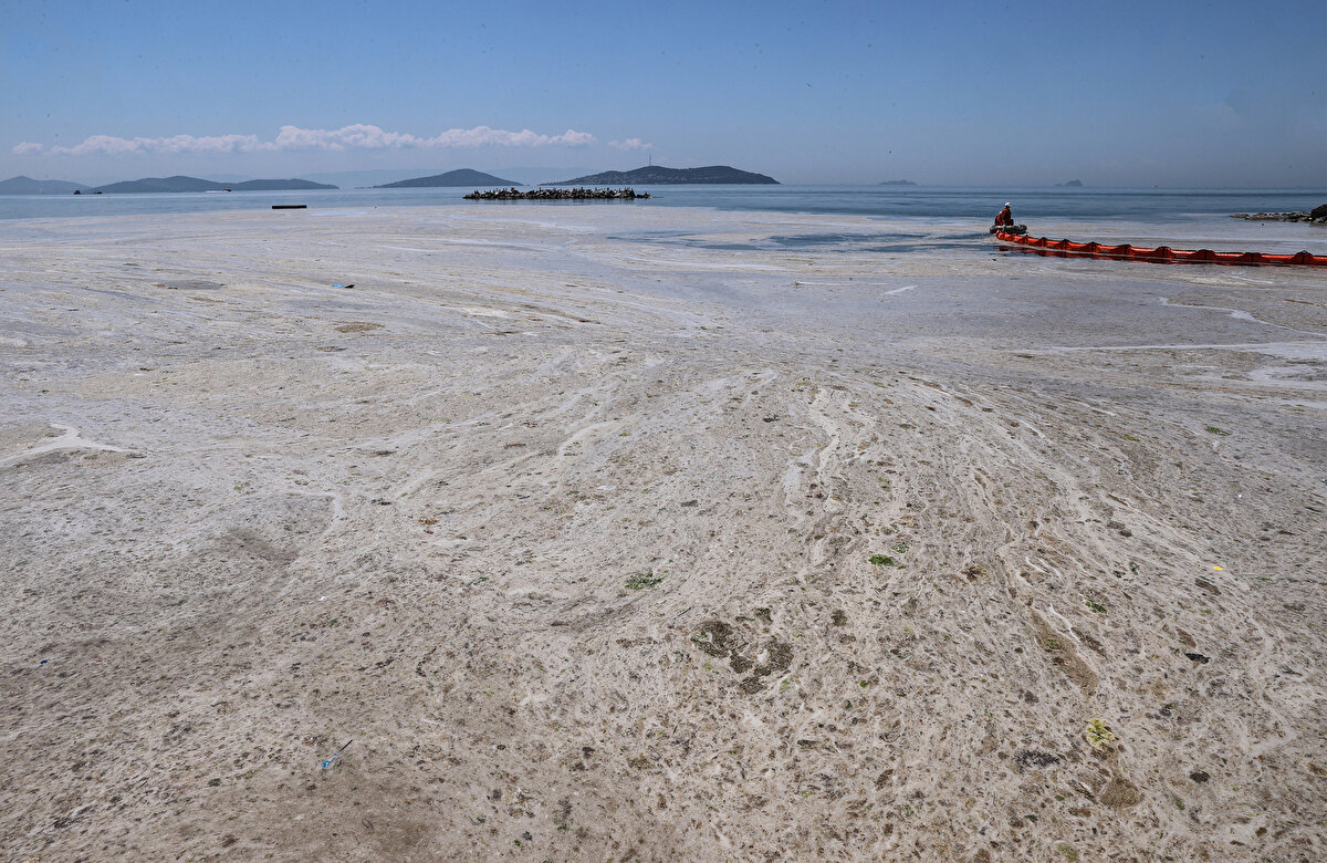 Çevre Yönetimi Genel Müdürlüğü'nde görevli Mehmet Tamer Çobanoğlu yapılan temizlikle ilgili Bugün itibarıyla Marmara Denizi'nde yaşanan müsilaj problemine yönelik temizlik çalışmalarına başlamış bulunmaktayız. Bu çalışmaları yaygınlaştırarak sürdüreceğiz. dedi.