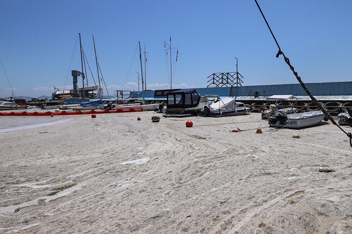 Bölgede bulunan mevcut atık su arıtma tesislerinin tamamı ileri biyolojik arıtma tesisine dönüştürülecek. Atık suların ileri biyolojik arıtım yapılmaksızın Marmara Denizi'ne deşarjını engelleyici hedefler doğrultusunda çalışmalar yürütülecek.