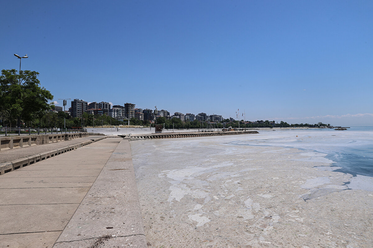 Marmara bölgesinde kirliliğin azaltılması ve izleme çalışmalarının yürütülmesi amacıyla; Çevre ve Şehircilik Bakanlığı, ilgili kurum ve kuruluşlar, üniversiteler, sanayi odaları ve STK'lardan müteşekkil Koordinasyon Kurulu; Marmara Belediyeler Birliği bünyesinde ise Bilim ve Teknik Kurulu oluşturulacak.