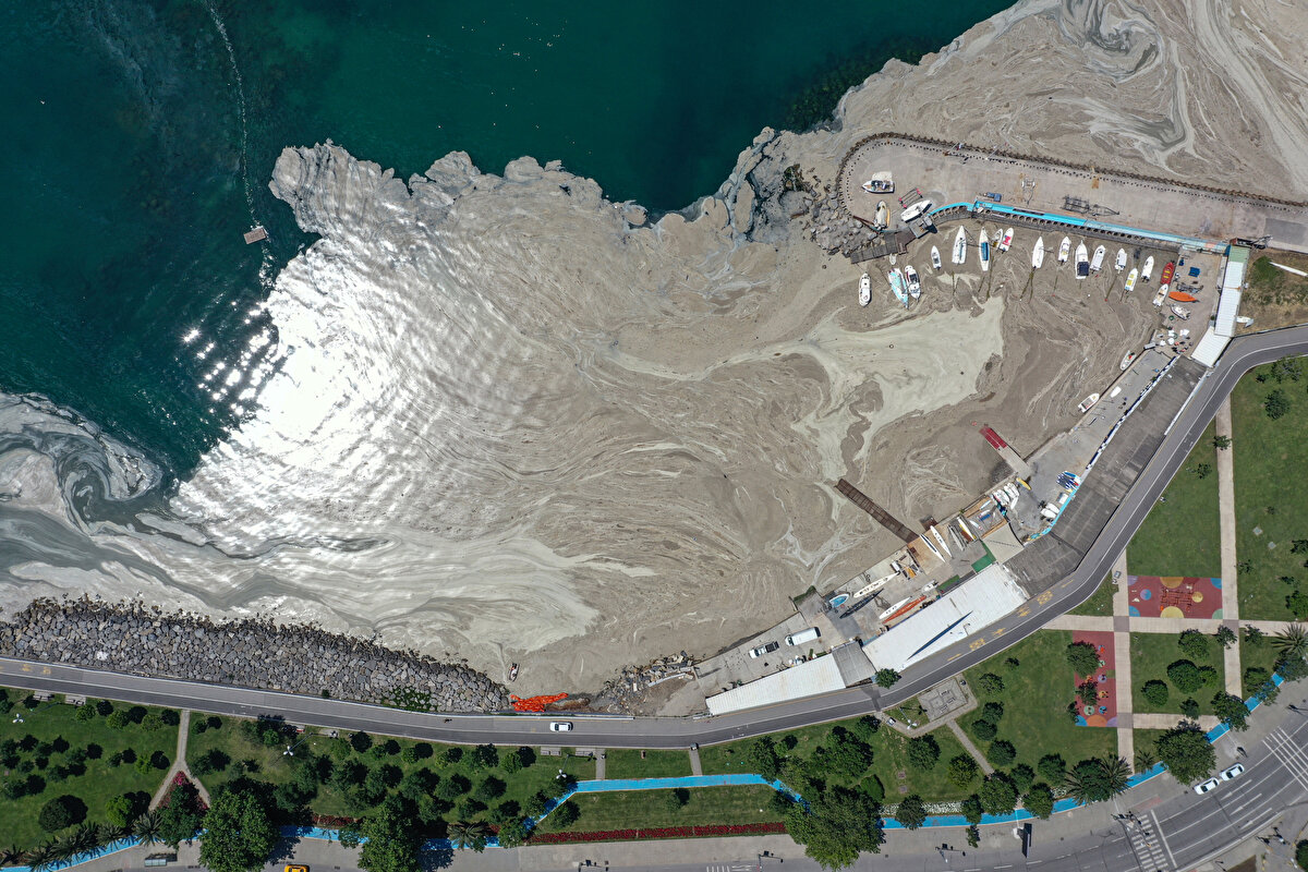 Marmara Denizi’mizdeki tüm hayalet ağlar 1 yıl içerisinde temizlenecek.