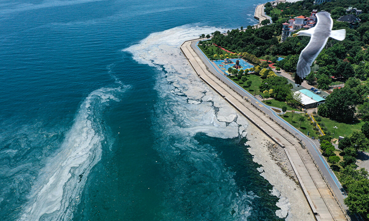 İyi tarım ve organik tarım uygulamaları ile basınçlı ve damlama sulama sistemleri yaygınlaştırılacak.
