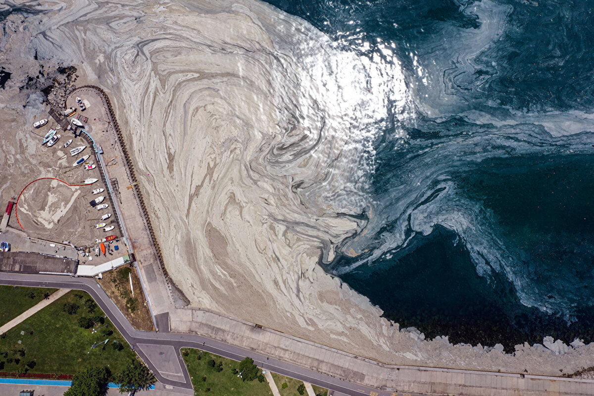 Balıkçılık faaliyetlerinin ekosistem temelli yapılması sağlanacak, koruma alanları geliştirilecek.