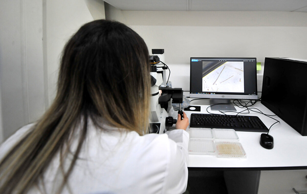 Bu bağlamda Bursa Büyükşehir Belediyesi ile de bir çalışma başlattık. Daha önce yaptığımız çalışmalarda aldığımız müsilaj örneğinden tuzu uzaklaştırıyoruz. Bunların çeşitli ağır metal analizlerini inceliyoruz. Güvenilirlik testlerinden geçtikten sonra bunların tarımda kullanılabilme potansiyelinin olduğunu düşünüyoruz. Bunların tarımsal zararlara karşı kullanım olanaklarını da inceleyeceğiz. Marmara’dan çıkan müsilaja talibiz”