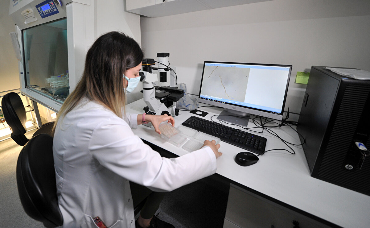 Laboratuvar ortamında oluşturulan müsilajla Marmara Denizi'nde görülen müsilajın yapılarını karşılaştırıyoruz. Böyle bir yaklaşımın, bu tür canlıların takibi, çoğalmalarının önlenmesi gibi konularda yardımcı olacağını düşünüyoruz.