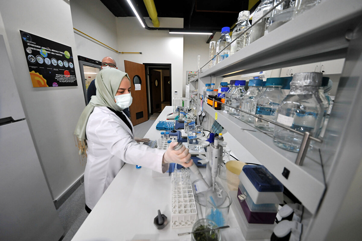 Bioplastik çalışmalarının başladığını belirten Prof. Dr. Mete Yılmaz, “Alternatif olarak Bursa Teknik Üniversitesi'ndeki araştırmacılarımız müsilajın plastikleşme özelliğini inceliyorlar. Bunların bioplastiğe dönüştürülebilme ihtimalini inceliyoruz. Biyoyakıt ham maddesi olarak kullanabilir miyiz diye araştırma içerisindeyiz.