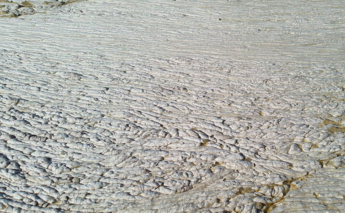 İlk bakışta marinayı bir beton tabakanın sardığını düşündüğünü belirten Altay, Bütün marina beton malzemeyle kaplı gibiydi. Yaklaşınca hafif bir hareket gördüm. Şaşırdım. Müsilajın o boyutta olacağı aklıma gelmemişti dedi.