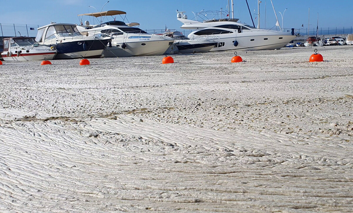 Diş hekimi Alper Altay, Güzelyalı Marina'daki teknesine bakmak için gittiğini ve sıra dışı bir manzarayla karşılaştığını söyledi.