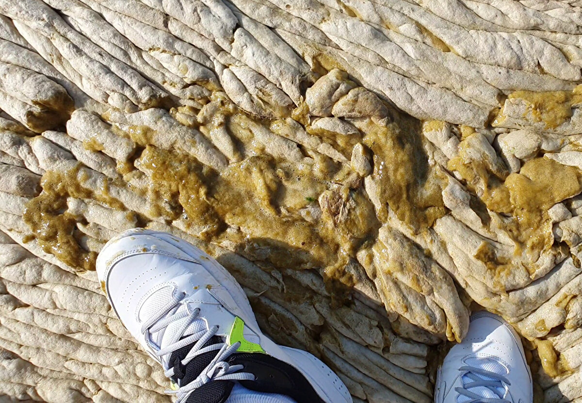 Müsilajın bu boyuta nasıl geldiğini aklının almadığını dile getiren Altay, Uçsuz bucaksız bir denizden bahsediyoruz. İnsanların deniz kenarında az olduğu bir kapanma sürecini yaşamıştık. Buna rağmen böyle olduysa uzun dönemde ne olacağını düşünmek istemiyorum. Arzu ediyorum ki organik bir kalıntı olsun, doğa kendi kendine bunu yok edebilsin. Bir kimyasal kalıntıysa uzun dönemde çok büyük etkilerini göreceğiz. Çok üzüncü ve büyük hayal kırıklığı. ifadelerini kullandı.