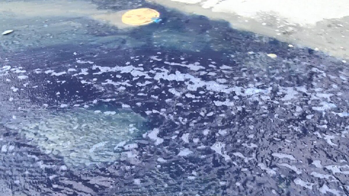 Esenyurt 19 Mayıs Bulvarı atık nedeniyle maviye büründü.