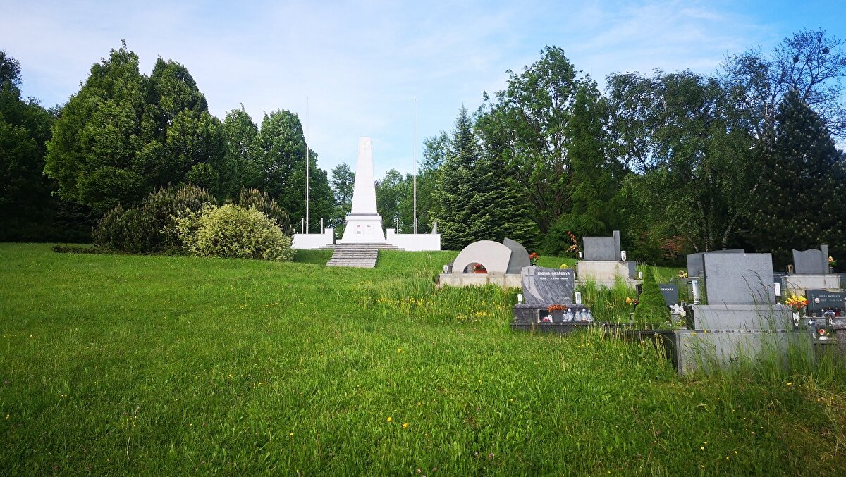 1. Dünya Savaşı'nda Galiçya cephesinde Rusya ile savaşan Avusturya-Macaristan İmparatorluğu'na destek vermek için 535 subay ve 32 bin 17 erden oluşan Türk askerleri, 23 Temmuz 1916 tarihinden itibaren tren ile Galiçya cephesine sevk edilmeye başlanmıştı. Cephede yaralanan ya da hasta olan askerlerin tedavi görmeleri için gönderildiği hastanelerde hayatını kaybedenler Hodonin, Pardubice ve Valasske Mezirici'deki şehitliklerde yatıyor.