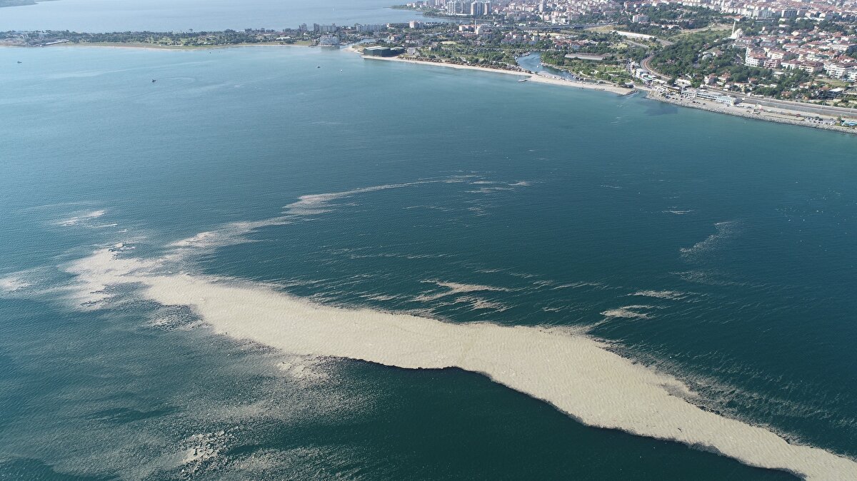 Görüntülerde hat şeklinde uzanarak adeta bir ada görünümü oluşturan müsilaj tabakası dikkat çekti.