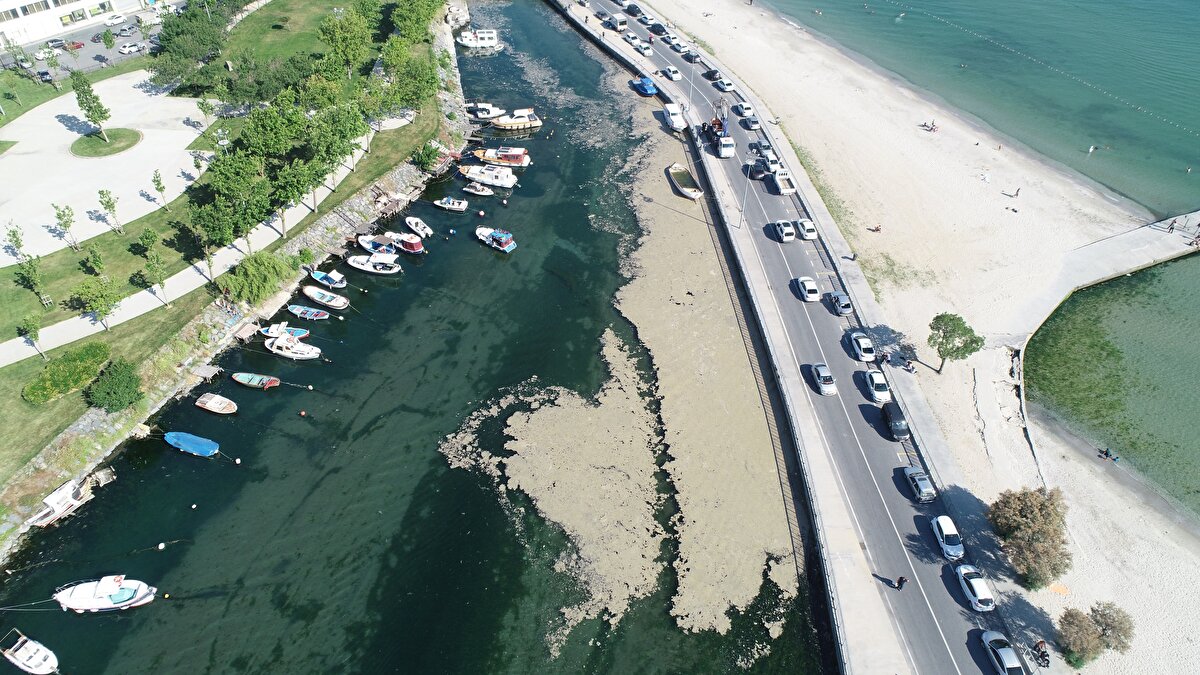 İşte o fotoğraflar;