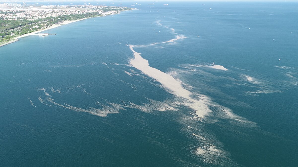 Marmara Denizi'ni yedi aydır kaplayan deniz salyası, denizdeki canlı yaşamını tehdit ediyor. Temizlik çalışmaları süren müsilaj farklı bölgelerde görülmeye devam ediyor.