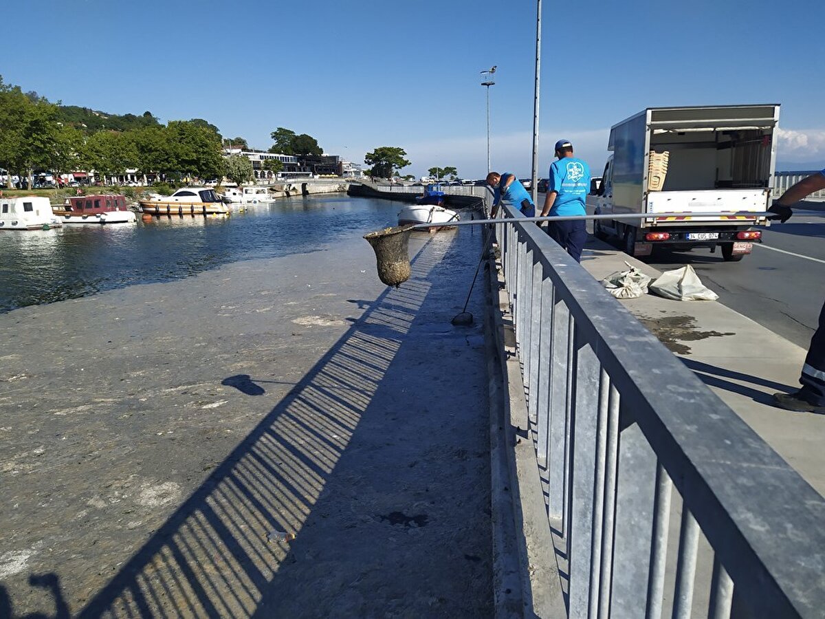 Belediye ekipleri kanalın bir bölümünde görülen müsilajı temizleme çalışmalarına başladı.