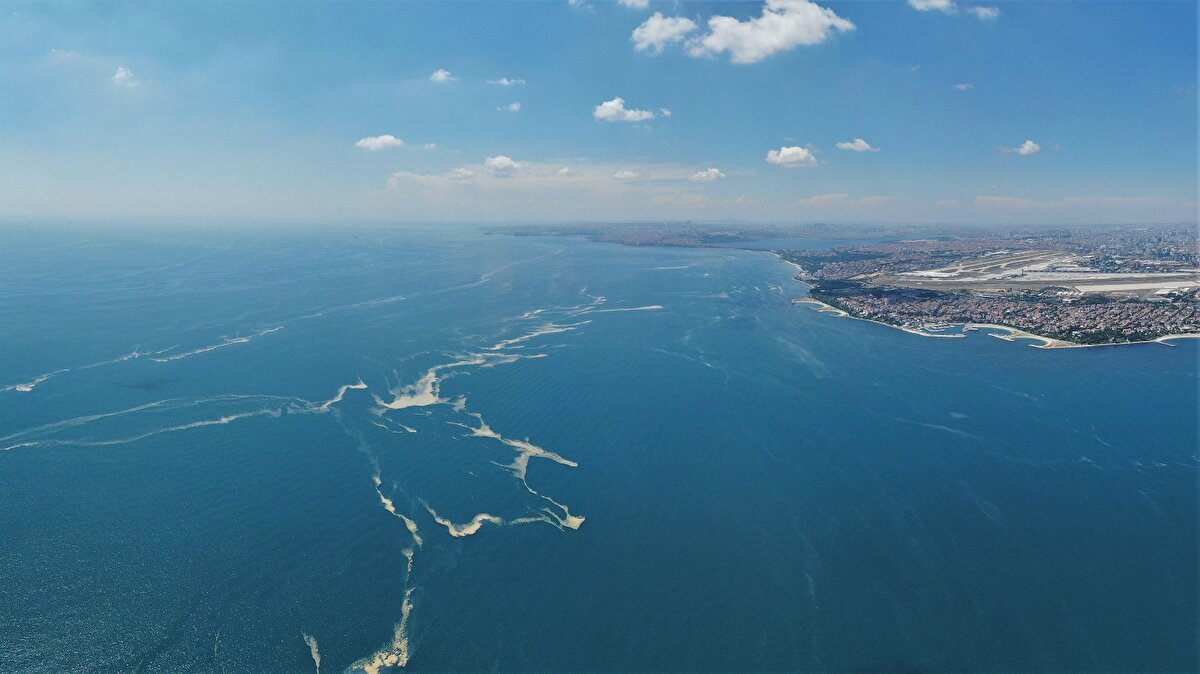 Balıkların yoğun musilaj içinde kaldığı çekilen görüntülerde net bir şekilde ortaya çıktı.