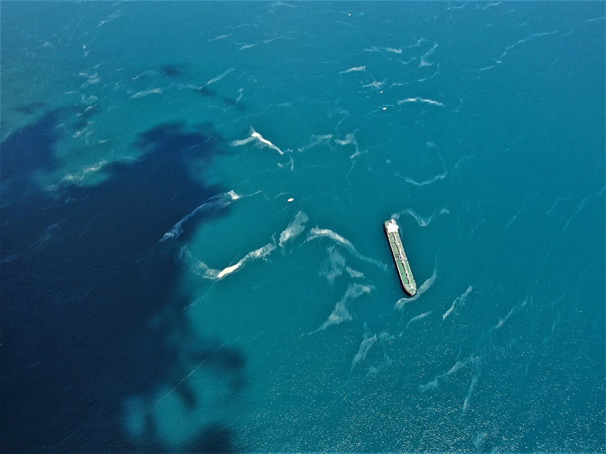 Su altındaki görüntüler ise deniz tabanını neredeyse bembeyaz örtüyle kaplandı.