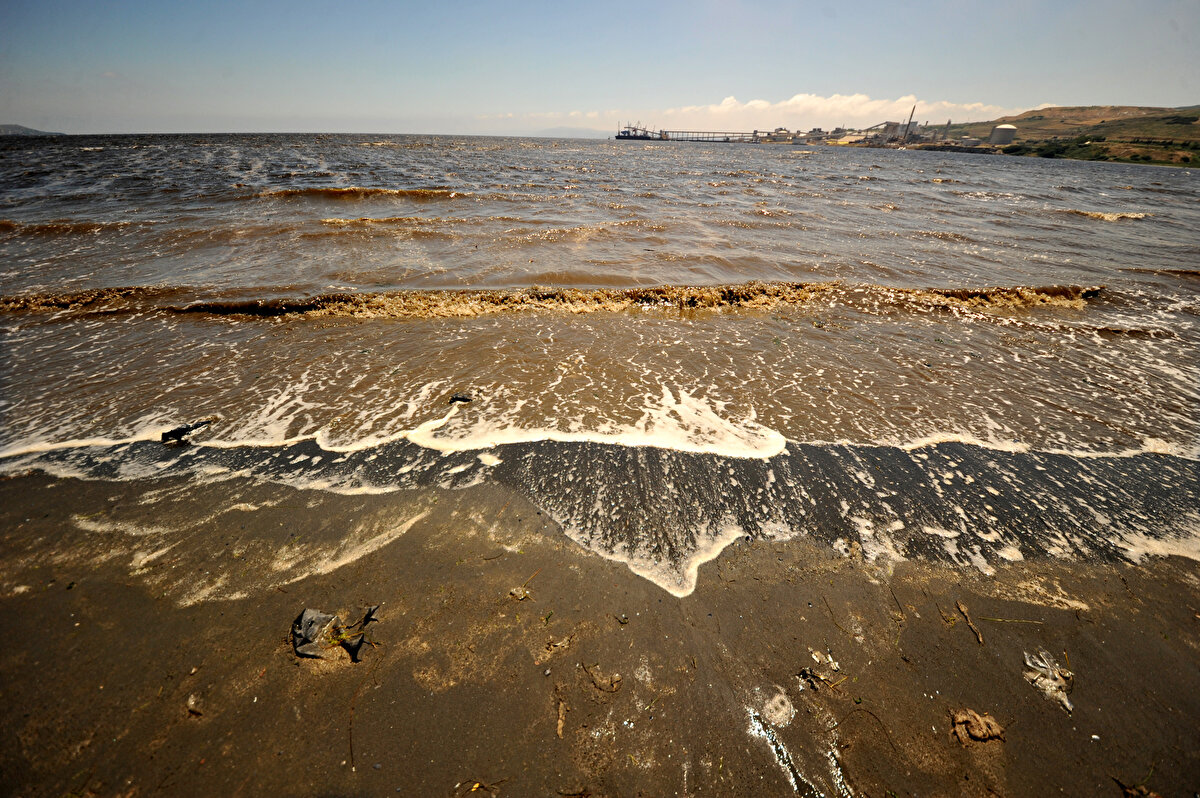 "Bandırma'ya çok yakın bir yerde organize sanayi bölgesi kurulmak isteniyor. Burada bir tarım arazisi söz konusu. Tarımın önemini pandemi gösterdi. Bu tarım arazileri üzerine sanayi yapılması çevremizi daha da kirletecek. Bunu haricinde hava kalitemiz de çok düşük."