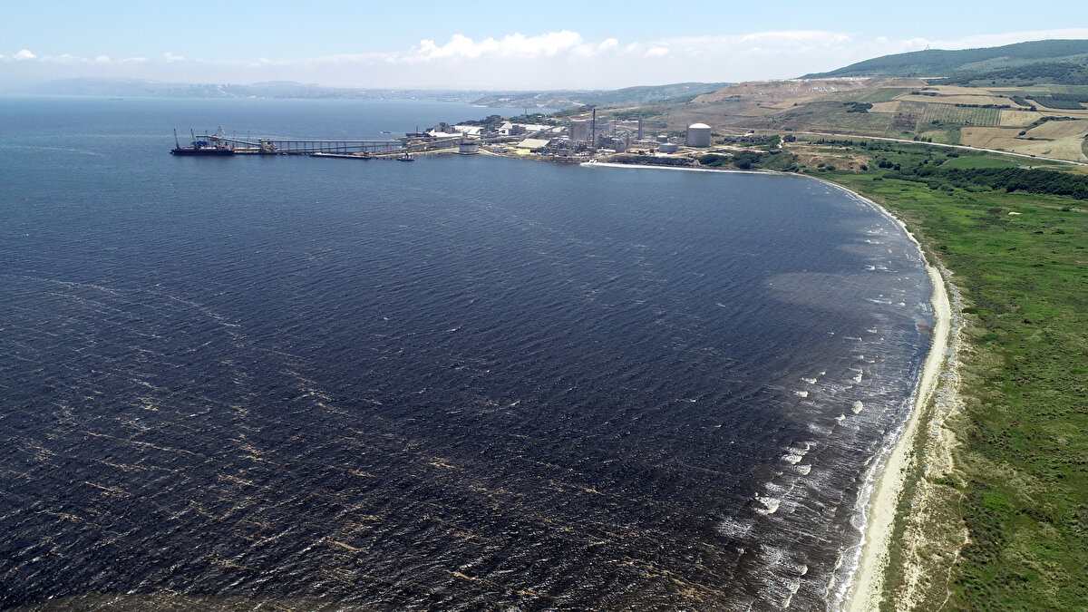 "Maalesef arıtma tesisleri iyi çalışmadan pek çok işletmenin atıkları derin deşarj denilen yöntemle Marmara Denizi'ne bırakılıyor. Ne kadar kontrol edildiğini de bilmiyoruz. Bu atıklar, dereler ve göller aracılığıyla da Marmara Denizi'ne akıtılıyor."