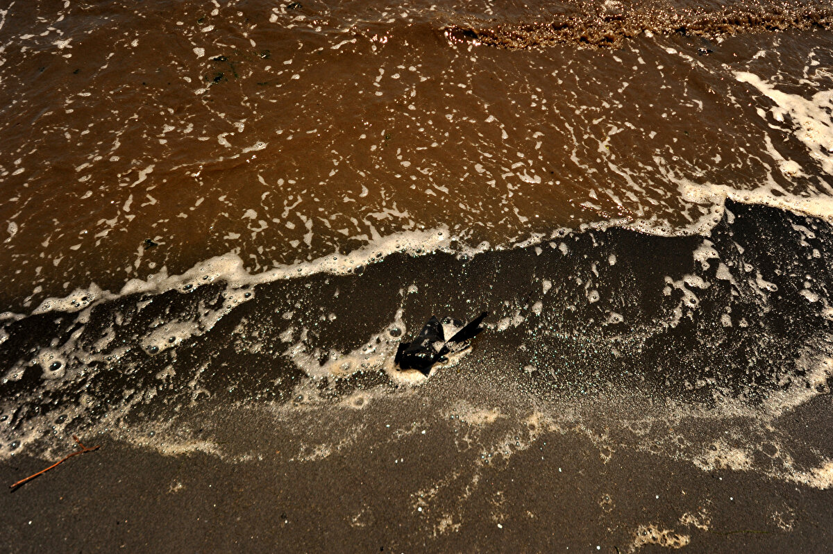 "Deniz artık sinyal vermeye, 'bu kirliliği artık kaldıramıyorum' demeye başladı. Çok acil çözüm gerekiyor. Çocukluk yıllarımda Bandırma çevresinde 50'den fazla balık çeşidi vardı. Şimdi birkaç tane ancak sayabiliyoruz. Bu üzücü bir durum. Yüzmeyi Bandırma Körfezi'nde öğrendik fakat şu an Bandırma'da denize girmek intihar gibi bir şey. Mümkün değil."