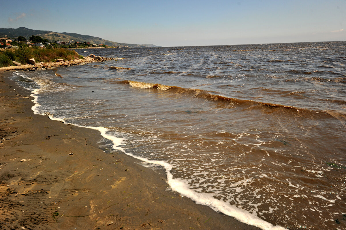"Birçok sanayi kuruluşunun arıtma tesisi yok. Bunlar da atıklarını arıtmadan Marmara Denizi'ne boşaltıyor. Şu anda Marmara Denizi'nin sıcaklığı 40 yıllık ortalamanın 2,5 derece üzerinde. Bu küresel iklim değişikliğine bağlı deniz suyunun ısınmasının yanında, bölgede bulunan sanayi kuruluşları da deniz suyunun sıcaklığının artmasına neden oluyor."