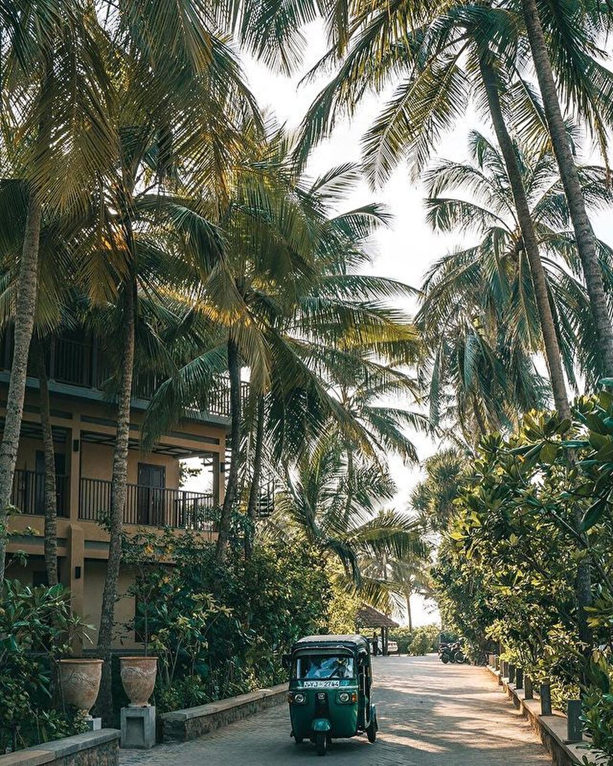 Üstüne üstlük vızır vızır geçen üç tekerlekli motosiklet taksi “tuk-tuk”- larını görünce iyice başınız dönüyor. Ta ki otelinize yerleşip Sri Lanka'nın bol baharatlı yemeklerinin acısı sizi kendinize getirene kadar...⠀