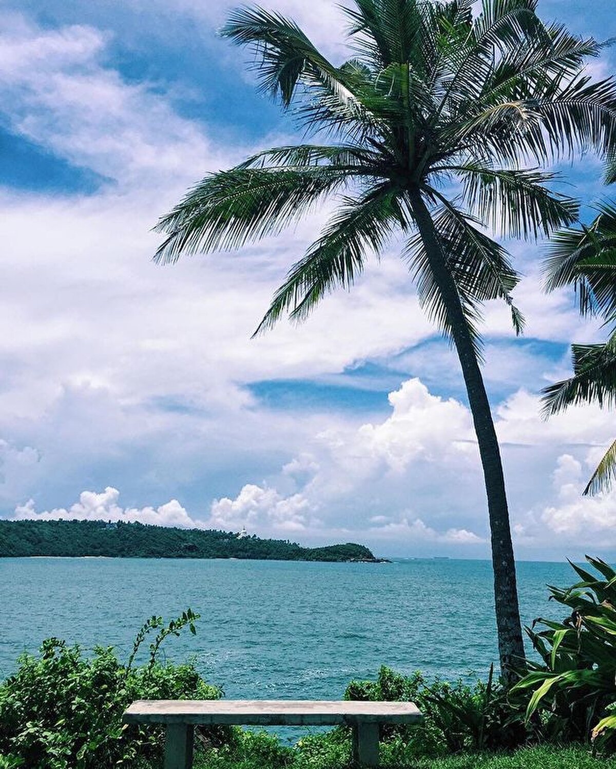 Meşhur Ceylan çayının çıktığı ülke Sri Lanka'da yeşil adeta topraktan fışkırıyor. Tabii doğa ananın kollarını canlılara açtığı bu topraklarda her an her yerde karşınıza fillerin, maymunların, dev meyve yarasalarının, büyük kertenkelelerin ve sincapların çıkması çok normal bir durum hâlini alıyor.