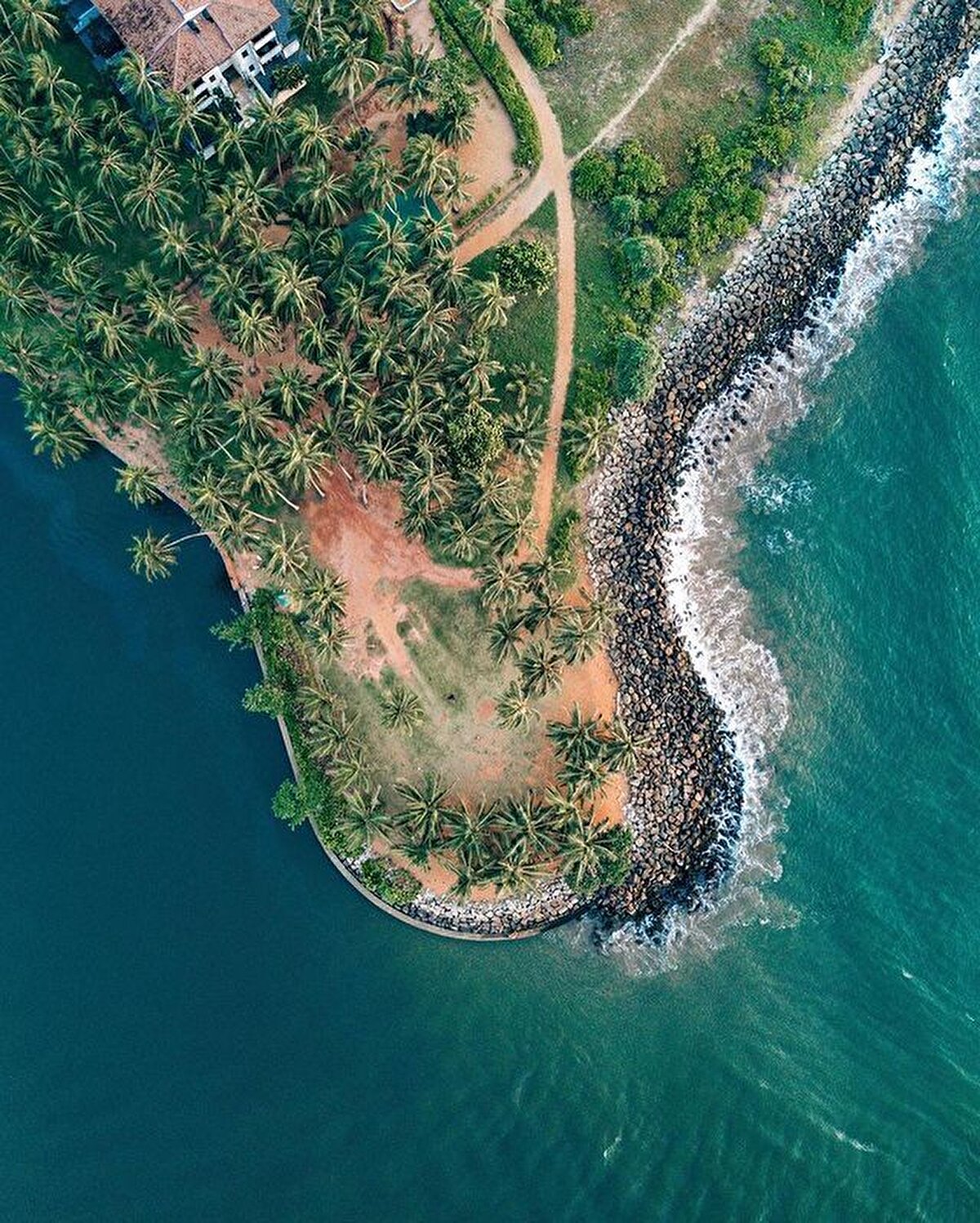 Özellikle tapınakların yaramaz çocuklara maymunların yiyecek konusunda çok arsız olduğunu söylemek lazım. Çantanızda yiyecek varsa kokusunu alıp sizi takip ediyorlar, temkinli olun… ⠀