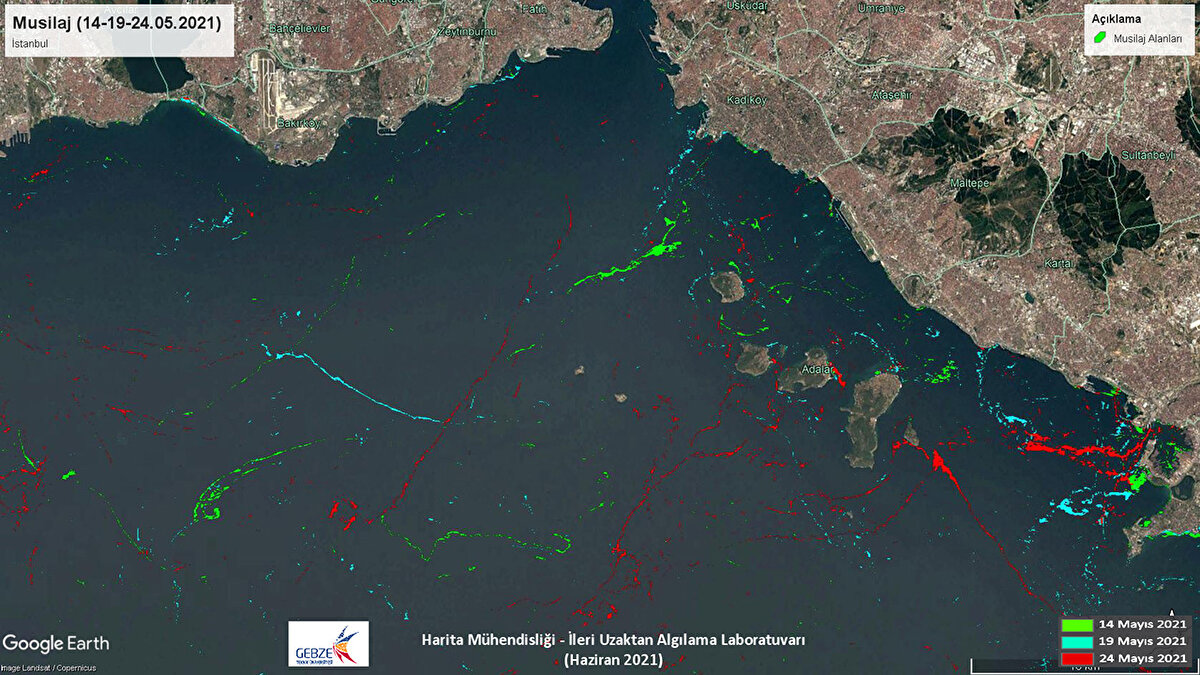 "İzmit Körfezi`ne doğru, akıntılarla görülmeye başlandığını tespit ettik. İstanbul`da çok azdı, Gemlik`te çok yoğundu. 14 Mayıs`ta çalıştığımız bölgede, yaklaşık 50 kilometrekarelik bir alanı kapsıyordu. 5 günlük periyotlarla ölçüm yapıyoruz. Her 5 günde bir bunun çok ciddi şekilde çoğalmaya başladığını gördük. Buna müsilaj patlaması diyoruz. Şu anda 100 kilometrekarelik bir alana yayıldı.