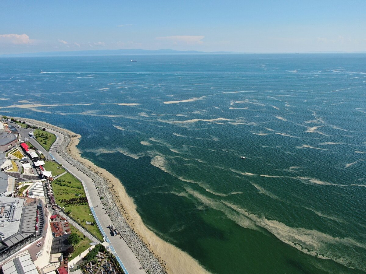 Marmara Denizi'nde etkili olan ve özellikle İstanbul'un Anadolu yakasında görülen deniz salyası, bu kez Bakırköy'de sahili kapladı.