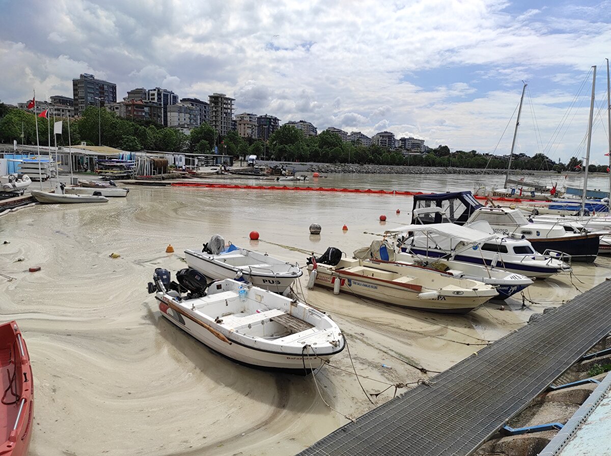 Çevre ve Şehircilik Bakanlığı ekipleri, sahilde biriken müsilajları bariyerlerle bir yerde topladıktan sonra hortumlarla depolama tanklarına doldurdu.