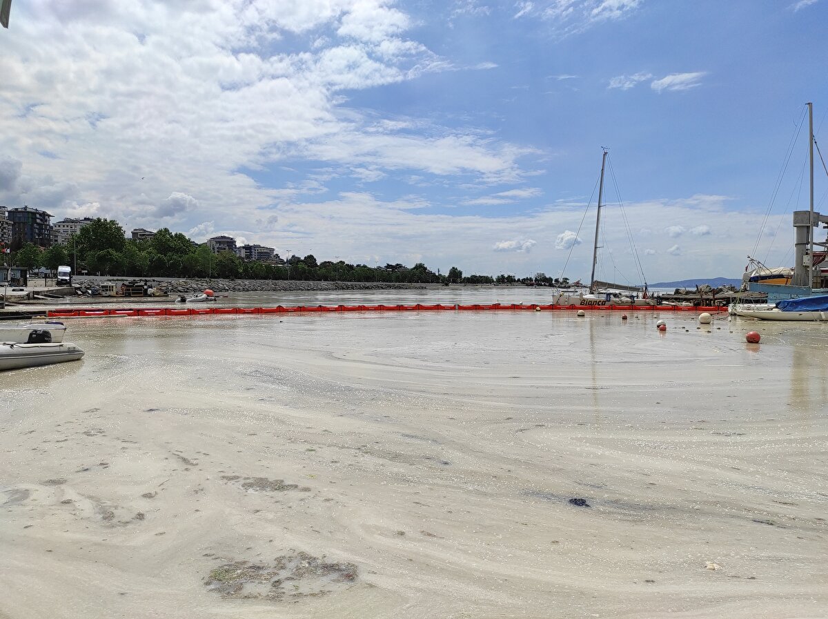 Öte yandan bakanlığa ve yetkilendirdiği kuruluşlara ait tekneler, deniz süpürgeleri ve botların çalışmaları da açık denizde devam ediyor.