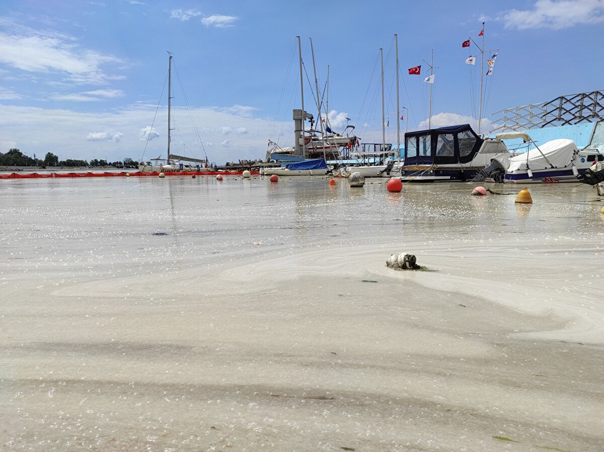 Ekipler, akıntı ve rüzgar nedeniyle deniz salyalarının azalıp veya çoğalabileceğini, bu nedenle çalışmaların aralıksız sürdüğünü belirtti.