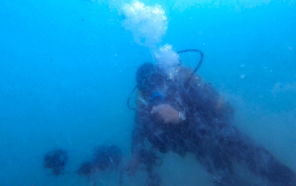 Onyedi Eylül Üniversitesi Denizcilik Fakültesi Dekanı Prof. Dr. Mustafa Sarı da Marmara Denizi'ndeki müsilajı görüntülemek için dalış yapmıştı. Sarı, "Müsilaj oluşumu devam ediyor ne yazık ki. Denizin dibi müsilaj örtüsüyle kaplanmış durumda" dedi.