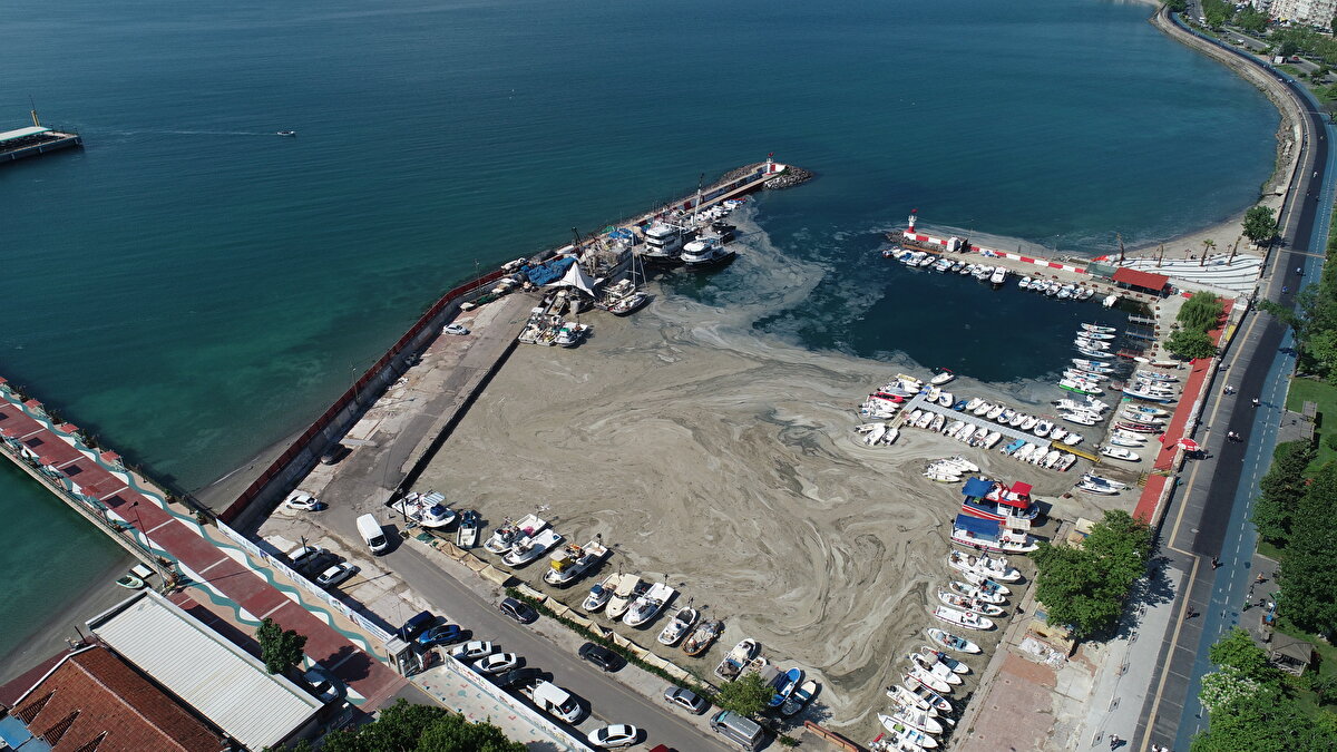 Müsilaj kaynaklı tabaka Süleymanpaşa Balıkçı Barınağının olduğu bölgede yoğun olarak toplandı.


