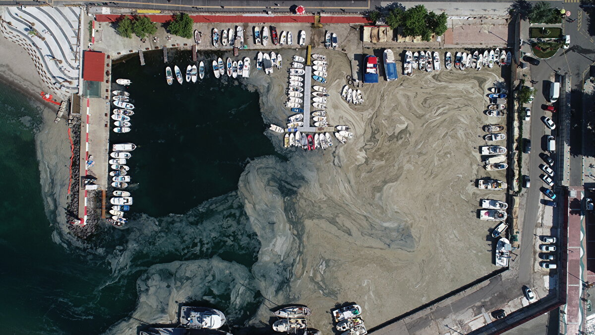 Çalışmalar kapsamında Tekirdağ'da bugüne kadar 139 metreküp müsilaj toplandığı öğrenildi.

