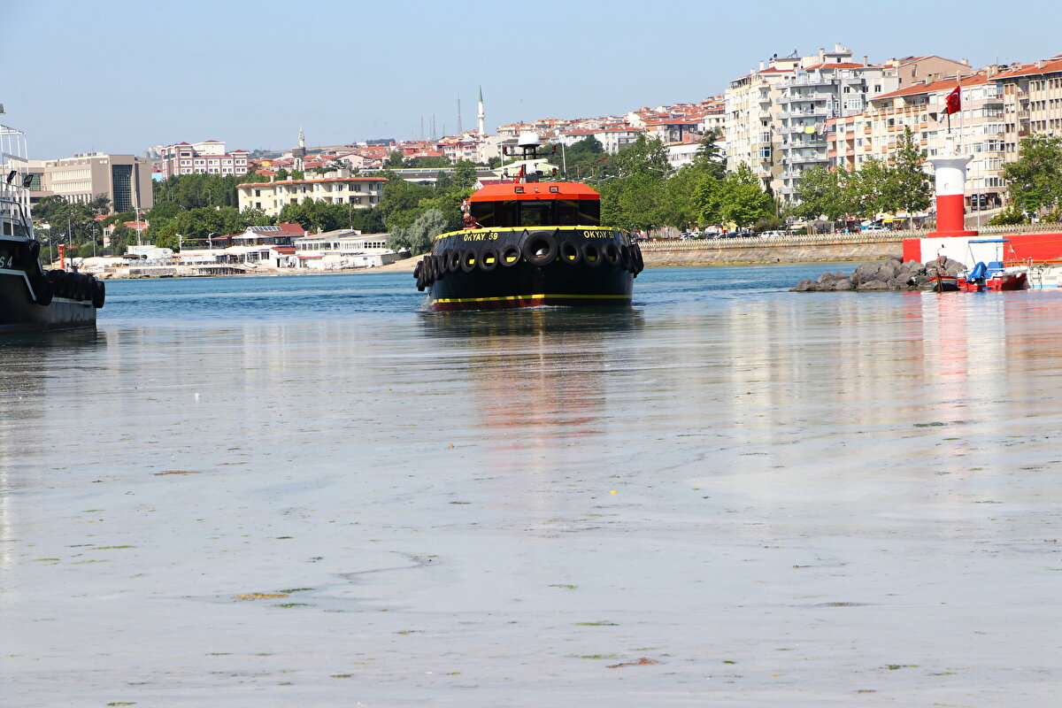 Marmara Denizi'nde etkili olan müsilajla mücadele kapsamında Çevre ve Şehircilik Bakanlığının "Marmara Denizi Eylem Planı" kapsamında Tekirdağ'da da başlatılan temizleme çalışmaları sürüyor.

