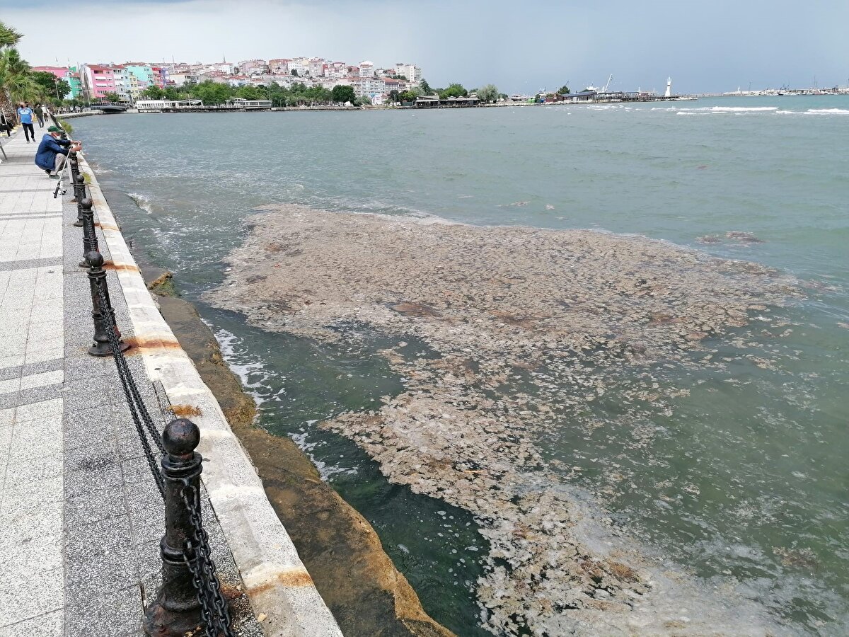 Öte yandan Silivri açıklarında balık tutan bazı balıkçıkların ağlarını deniz salyası kapladı.  