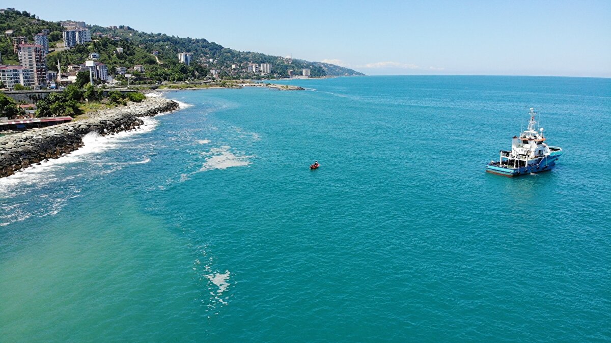 Genel olarak bir değerlendirme yapacak olursak denizel ekosistemler sahip oldukları dinamiklerle birçok canlıya ev sahipliği yapıyor.

Bu canlılar içerisinde en önemlisi fitoplankton dediğimiz birinci üretici canlı çeşidi olarak karşımıza çıkmakta. Bunlar denizel ortamda organik maddenin üretiminden sorumlu olan ana üreticiler olarak ve aynı zamanda dünyanın ihtiyacı olan oksijeni üreten en büyük canlı grubudur.

Fakat bunlar üzerindeki baskılar her geçen gün artmakta. Bunlardan en önemlisi deniz sıcaklığının artmasıdır. Bunun gibi birçok etken bulunmakta.