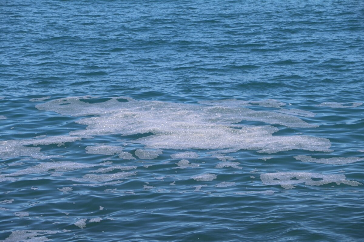 İlk belirlemelere göre ise denizin üzerinde oluşan katmanın sadece rüzgardan kaynaklı oluşan dalga ve denize akan derenin köpüğünden kaynaklı oluşan baloncuklar olduğu gözlemlendi.

Konuyla ilgili açıklamalarda bulunan RTEÜ Su Ürünleri Fakültesi Deniz Biyolojisi Dalı öğretim üyesi Doç. Dr. Ertuğrul Ağırbaş, ilk bulgulara göre denizin üzerinde halkı tedirgin eden görüntünün dalgadan oluşan köpüklerden ibaret olduğunu söyledi.