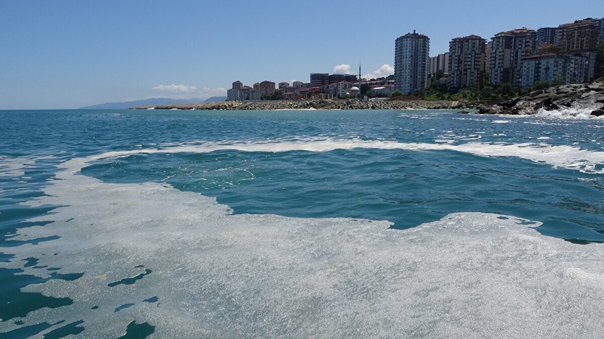 Doç. Dr. Ertuğrul Ağırbaş “Üniversitemize gelen ihbar üzerine balıkçı barınağında çekilen bir fotoğraf üzerine Karadeniz Araştırma Gemimizle beraber denizdeki durumu incelemek için bir çalıştırma gerçekleştirdik" dedi.

Ağırbaş, "Yaptığımız incelemelerde elde ettiğimiz bilgiler ile durumun deniz salyası olmadığı ve denizdeki dalgalanmadan dolayı köpüklenme olduğu kanısına vardık. Ancak aldığımız numuneleri laboratuvarda test ederek daha sağlıklı sonuçlar elde edeceğiz” açıklamasında bulundu.

