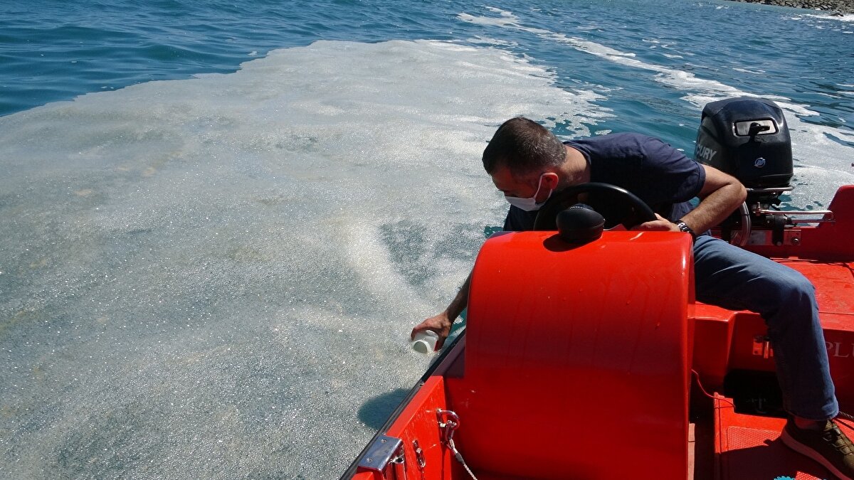 Üniversiteye ait Karadeniz Araştırma Gemisi bölgeye gelerek incelemelerde bulundu. Denizin üzerinden ve dalgıçlar vasıtasıyla denizin içerisinden çeşitli numuneler alındı.
