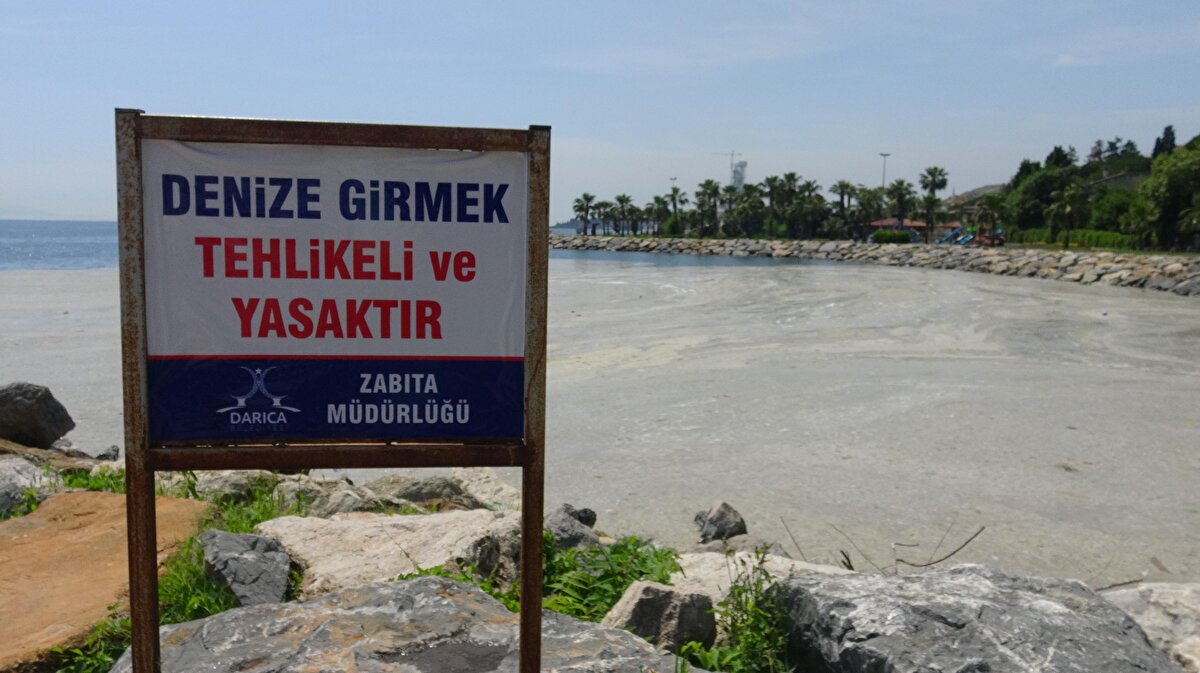 Kocaeli'nin Darıca ilçesinde sahiller, müsilajla kaplanırken, Cevher Dudayev Sahili’nde denize girmek yasaklandı. 