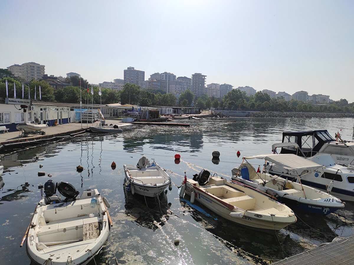 Bu kapsamda, yapılan çalışmalar ve rüzgarın da etkisiyle Caddebostan Sahili ile Kurbağalıdere'de müsilaj yoğunluğunun azaldığı görüldü. 