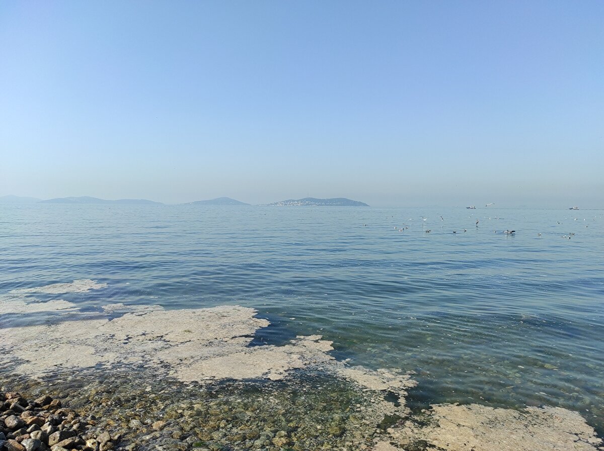 Çevre ve Şehircilik Bakanlığınca Marmara Denizi Eylem Planı çerçevesinde başlatılan Müsilaj Temizleme Seferberliği kapsamında İstanbul'daki çalışmalar 7 gün 24 saat esasına göre sürüyor.